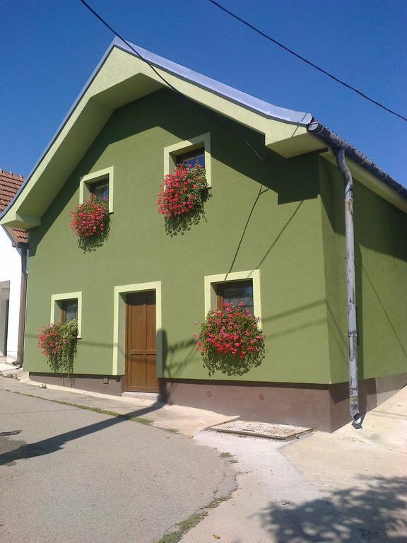 Penzion Andrea Velké Bílovice Екстериор снимка